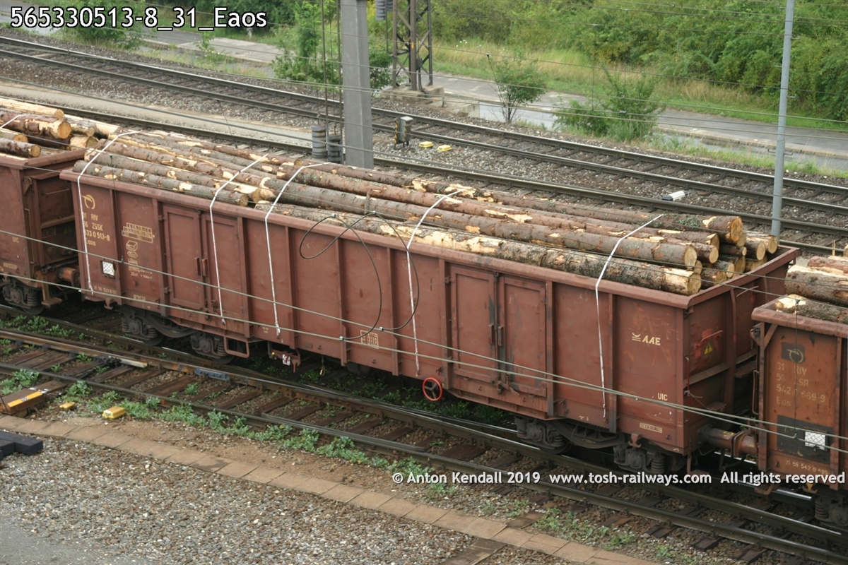 565330513-8_31_Eaos.jpg